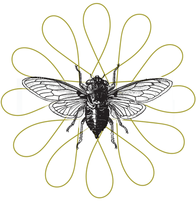 A Small Orientation emblem