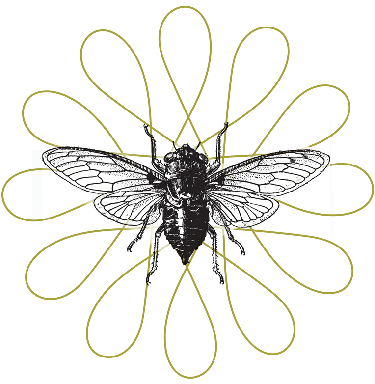 A Small Orientation emblem